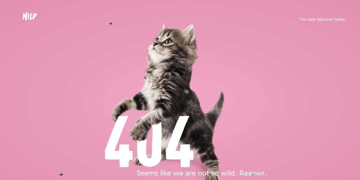 404 référencement SEO